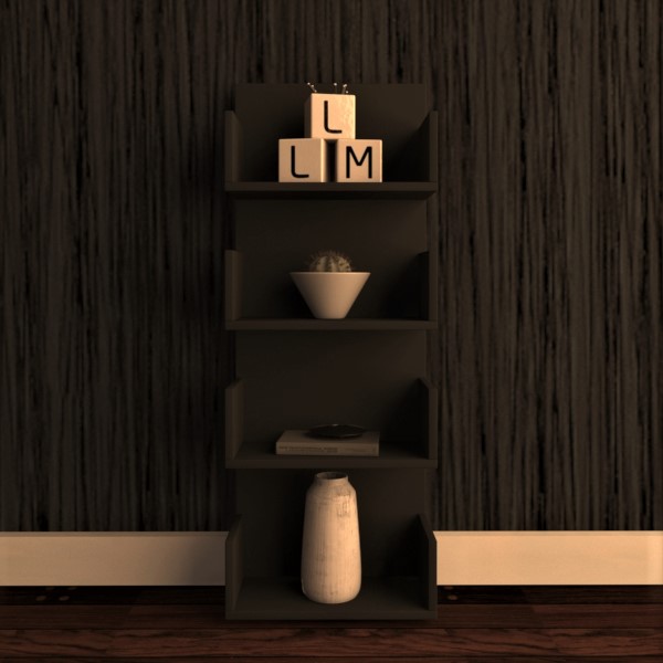 Elfa Book Shelves